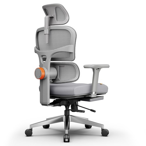 NEWTRAL NT002 Ergonomischer Stuhl Grau