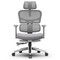 NEWTRAL NT002 Ergonomic Chair, Adaptive Lower Back Support, 