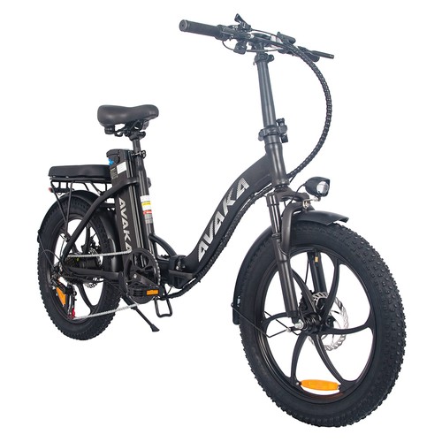 AVAKA BZ20 PLUS Elektrofahrrad Einrad Schwarz