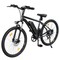 isinwheel M10 Electric Bike, 250W Motor, 36V 10.4Ah Battery,