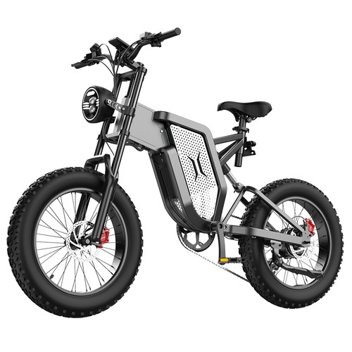 EKXBIKE X20 Elektrofahrrad 2000W 48V 35AH