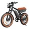 isinwheel R6 Electric Bike, 250W Motor, 48V 13Ah Battery, 20