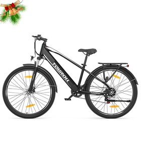 Touroll J1 Trekkingrad 250W Motor