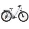 Heda TX TX10 Electric Bike, 500W Motor, 48V 19.2AH Battery, 