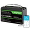 LANPWR 12V 100Ah LiFePO4 Battery Pack, 1280Wh Energy, with 4