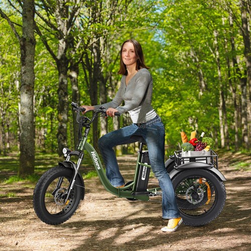 Hidoes HD-ET1 Elektrisches Dreirad 750W 48V 20AH