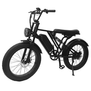 YANGOR Y-24 Electric Bike, 250W Motor, 48V 20AH Battery, 24*4.0-inch Tire, 42km/h Max Speed, 120km Max Range, Mechanical Disc Brake, Front & Read Suspensions, Shimano ALTUS 8-speed, LCD Display