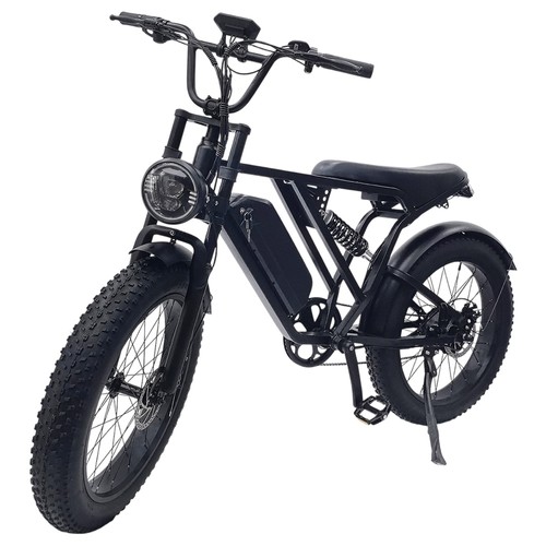 YANGOR Y-24 Electric Bike 250W 48V 20AH