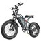 EKXBIKE T1 Electric Bike, 1000W Motor, 48V 20AH Battery, 20*