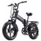 RANDRIDE YX20M-2 Electric Bike, 1000W*2 Motor, 48V 20Ah Batt