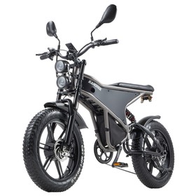RANDRIDE DM711 Elektrofahrrad 1000W*2 48V 20Ah