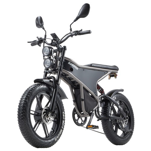 Rower elektryczny RANDRIDE DM711 Electric Bike 1000W*2 z EU za $1166.35 / ~4817zł