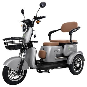 Freejoyer FV6 Electric Tricycle 1000W 60V 20Ah Grey