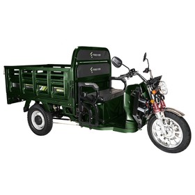 Freejoyer FW5 Electric Cargo Tricycle 3000W 72V 58Ah Green