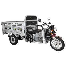 Freejoyer FW5 Electric Cargo Tricycle 3000W 72V 58Ah Silver