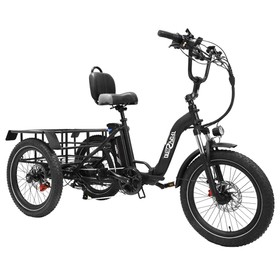 ONESPORT OT30 Triciclo elettrico da carico 500W Nero