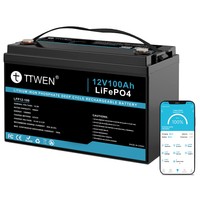 TTWEN 12V 100Ah LiFePO4 Akkumulátor Bluetooth elem