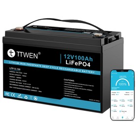TTWEN 12V 100Ah LiFePO4 Battery with Bluetooth 5.0