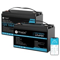 TTWEN 12V 100Ah LiFePO4 Akkumulátor Készlet bluetooth és nem bluetooth