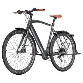 Fafrees F700M Vélo électrique 250 W 36 V 10 Ah Noir