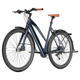 Fafrees F700W Vélo électrique 250W 36V 10Ah Bleu