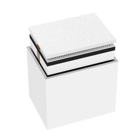 Mecpow FE01 Remplacement de Filtre pour Mecpow P150 Extracteur