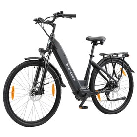 TTGO C7(ZZ-28ST) Elektrofahrrad 250W 36V 20Ah Schwarz