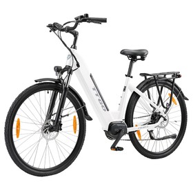 TTGO C7(ZZ-28ST) Elektrofahrrad 250W 36V 20Ah Weiß