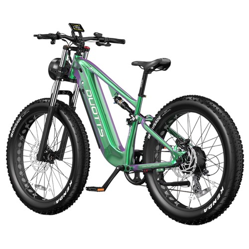 DUOTTS E26 Elektrofahrrad 750W 20AH Grün Lila