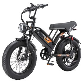 PURE UNICORN U5 Elektrofahrrad 1000W 48V 19,2Ah