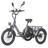 Fafrees F20 Mate Electric Cargo Tricycle Upgrade Version, 500W Motor, 48V 21Ah Battery, 20*3.0 inch Tires, 25km/h Max Speed, 115km Max Range, Hydraulic Disc Brakes, Triple Suspension System, Aluminum Differential - Black