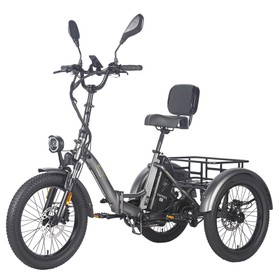 FAFREES F20 Mate Elektrisches Lastendreirad, Upgrade-Version, 23,45 Ah, Schwarz