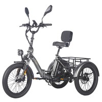 Fafrees F20 Mate Electric Cargo Tricycle Upgrade Version, 500W Motor, 48V 23.45Ah Battery, 20*3.0 inch Tires, 25km/h Max Speed, 120km Max Range, Hydraulic Disc Brakes, Triple Suspension System, Aluminum Differential - Black