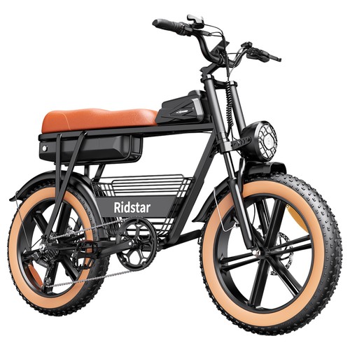 Ridstar CR20 Elektrofahrrad 1000W 48V 20Ah