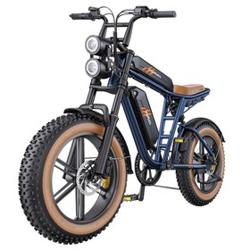 HillMiles MileZoom 1 Elektrofahrrad mit Doppelbatterie, 250 W, 15,6 Ah