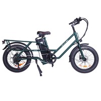 GOGOBEST GF200 Electric Bike, 500W Motor, 48V 15.6Ah Battery, 20*3.0 inch Tires, 45km/h Max Speed, 80km Max Range, Mechanical Disc Brakes, Shimano 7-speed, LCD Display - Green