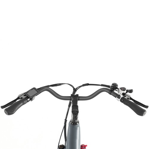 Foride Xtremer 1 - VTT électrique Adulte 36V 250W, Batterie 468Wh (100 Km D'autonomie), 21 Vitesses Shimano, Freins à Disque, Suspension