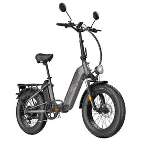 Fafrees FF20 Polar Elektrofahrrad, 500 W, 24 Ah, Gunmetal-Schwarz