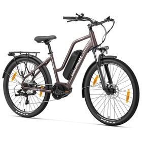 Touroll MA2 Elektrofahrrad 250W 36V 13Ah Braun