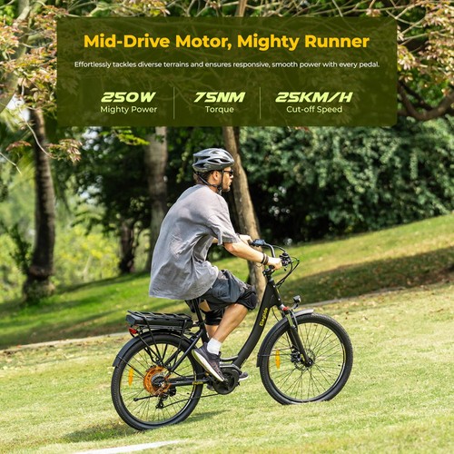 Eleglide C2 Elektrofahrrad 250W 36V 13Ah