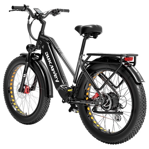LANKELEISI DM530Plus Elektrofahrrad 1000W 52V 20Ah Schwarz Grau