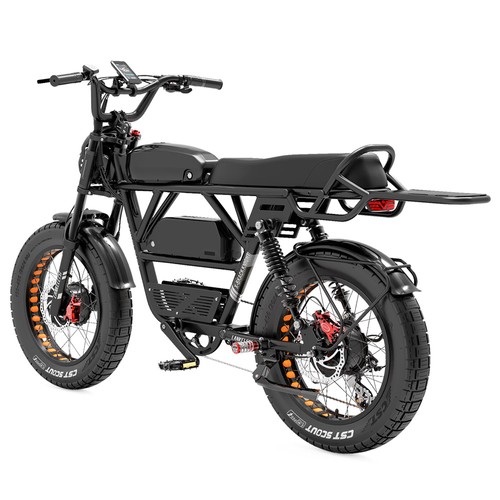 LANKELEISI X-Black Knight Elektrofahrrad 2*1000W 48V 45Ah