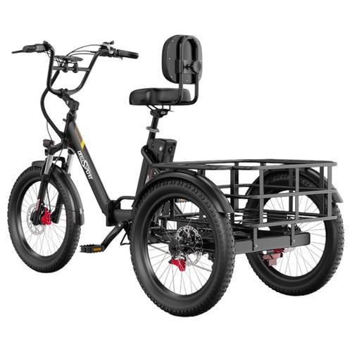 ONESPORT OT30 Pro Elektrisk Trehjuling för Last 500W 48V 18Ah Svart