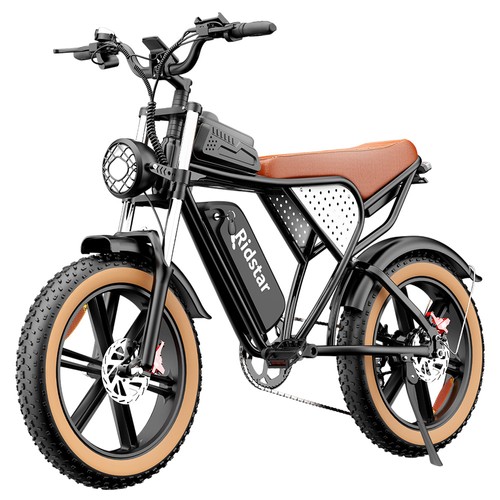 Ridstar Q20 Elektrofahrrad 1000W 48V 20Ah