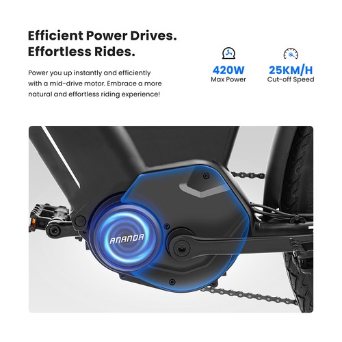 Touroll MA1 Elektrofahrrad 250W 36V 13Ah EU-Stecker