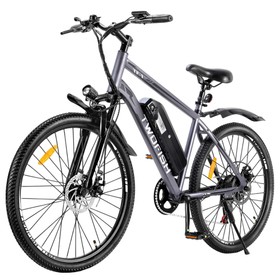TWOFISH TF-1 Electric Bike 250W 36V 15Ah Grey