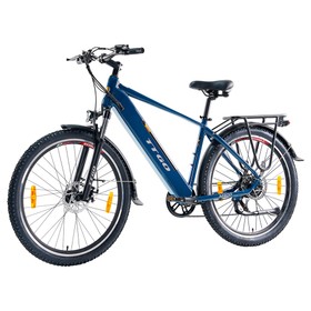 TTGO M300 Elektrofahrrad 250W 36V 20Ah Blau