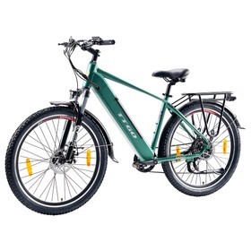 TTGO M310 Elektrofahrrad 500W 48V 15Ah Grün