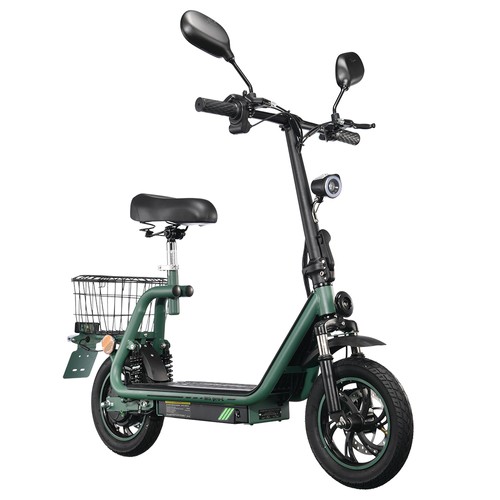 TWOFISH M5 PRO-E EEC-zertifizierter Elektroroller 500 W, Grün