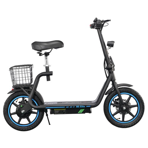 TWOFISH M5 Elite Elektroroller 500W 48V 13Ah